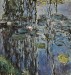 10025--Claude-Monet--Lekniny-TH.jpg